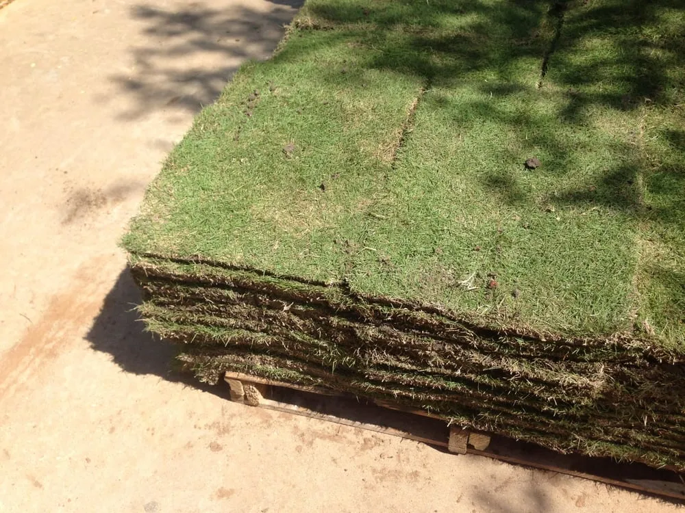 Trusted lawn mowing service in Highland Village, TX - Main Street Mowing