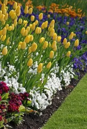 Reliable outdoor landscaping experts serving Highland Village, TX - Main Street Mowing