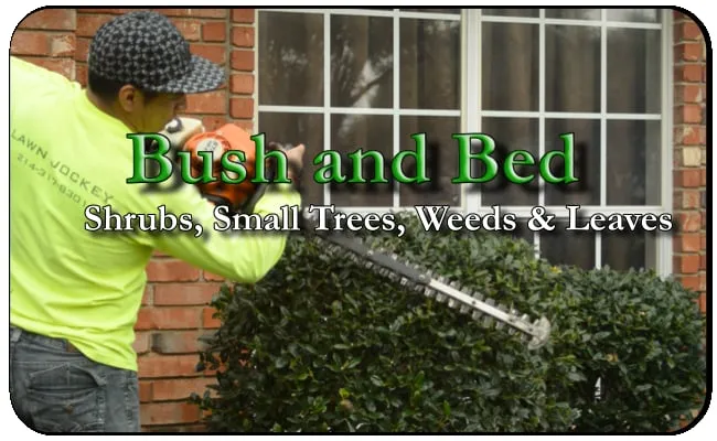Professional outdoor landscaping for outdoor upgrades across Highland Village, TX - Main Street Mowing