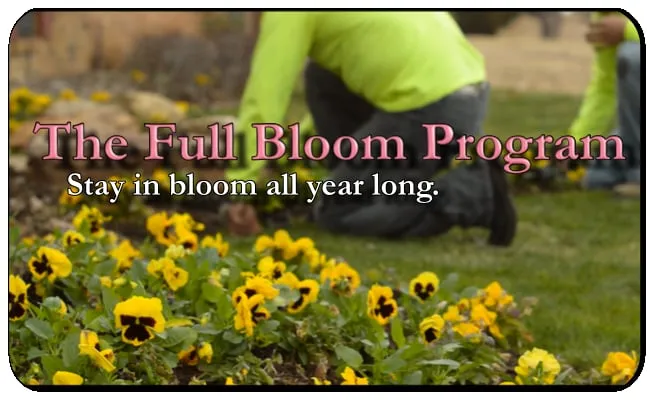 Top-rated garden landscaping for outdoor upgrades across Highland Village, TX - Main Street Mowing