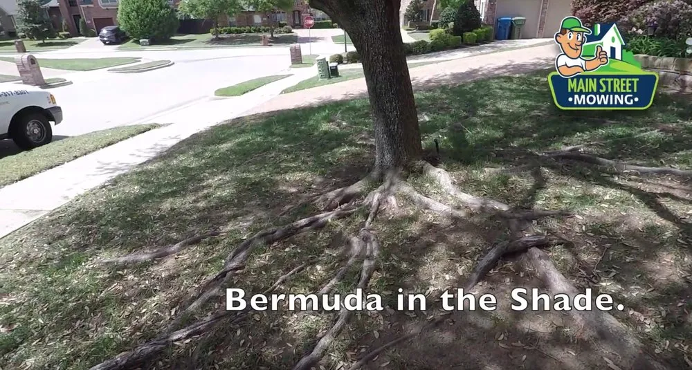 Trusted landscape installation for homes across Highland Village, TX - Main Street Mowing