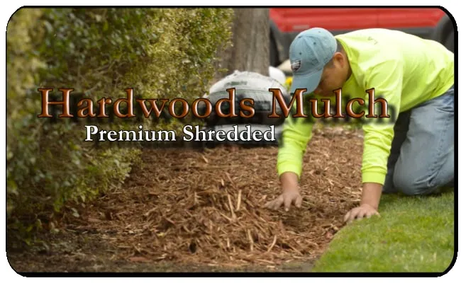 Local landscape design experts serving Highland Village, TX - Main Street Mowing