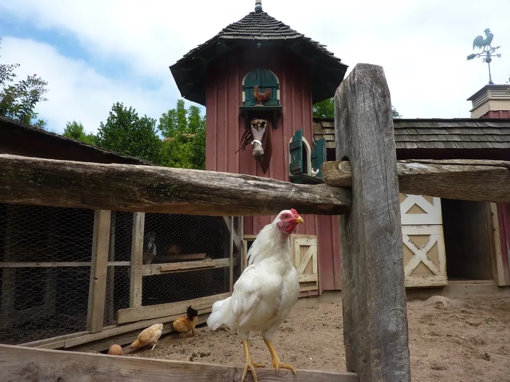 Expert yard cleanup service for outdoor upgrades in Huntington, NY by Main Street Nursery