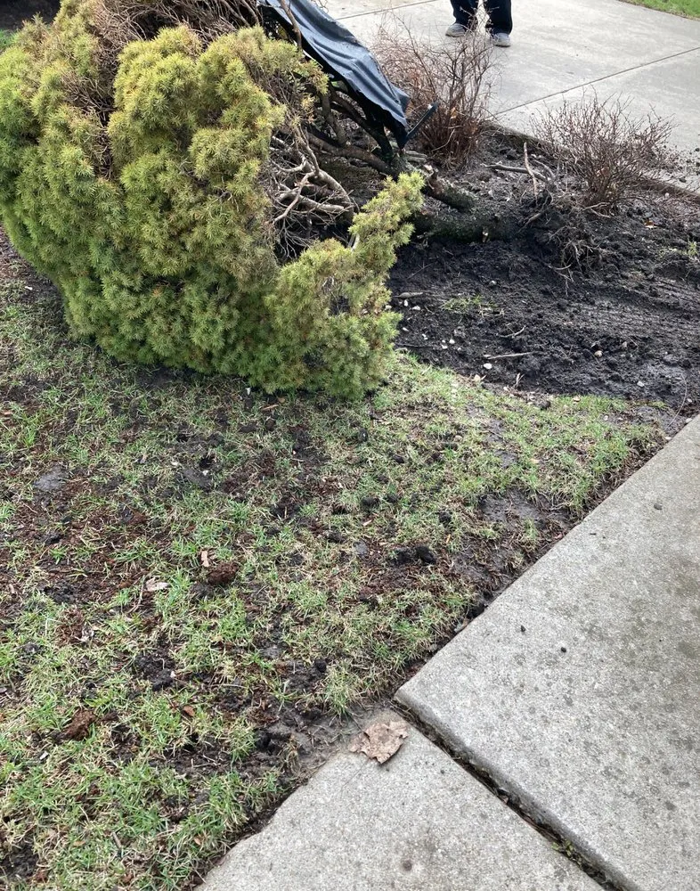 Affordable landscape installation in Niles, IL - Maine Property Maintenance