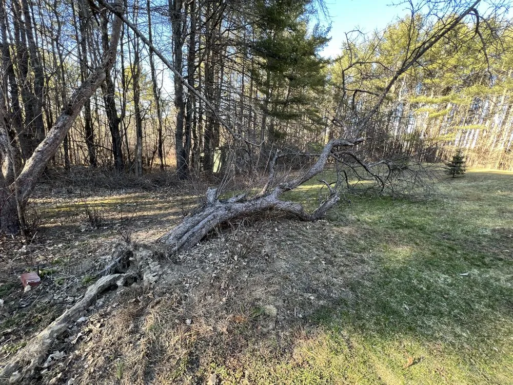 Top-rated lawn care service in Buxton, ME by Maine Property Works