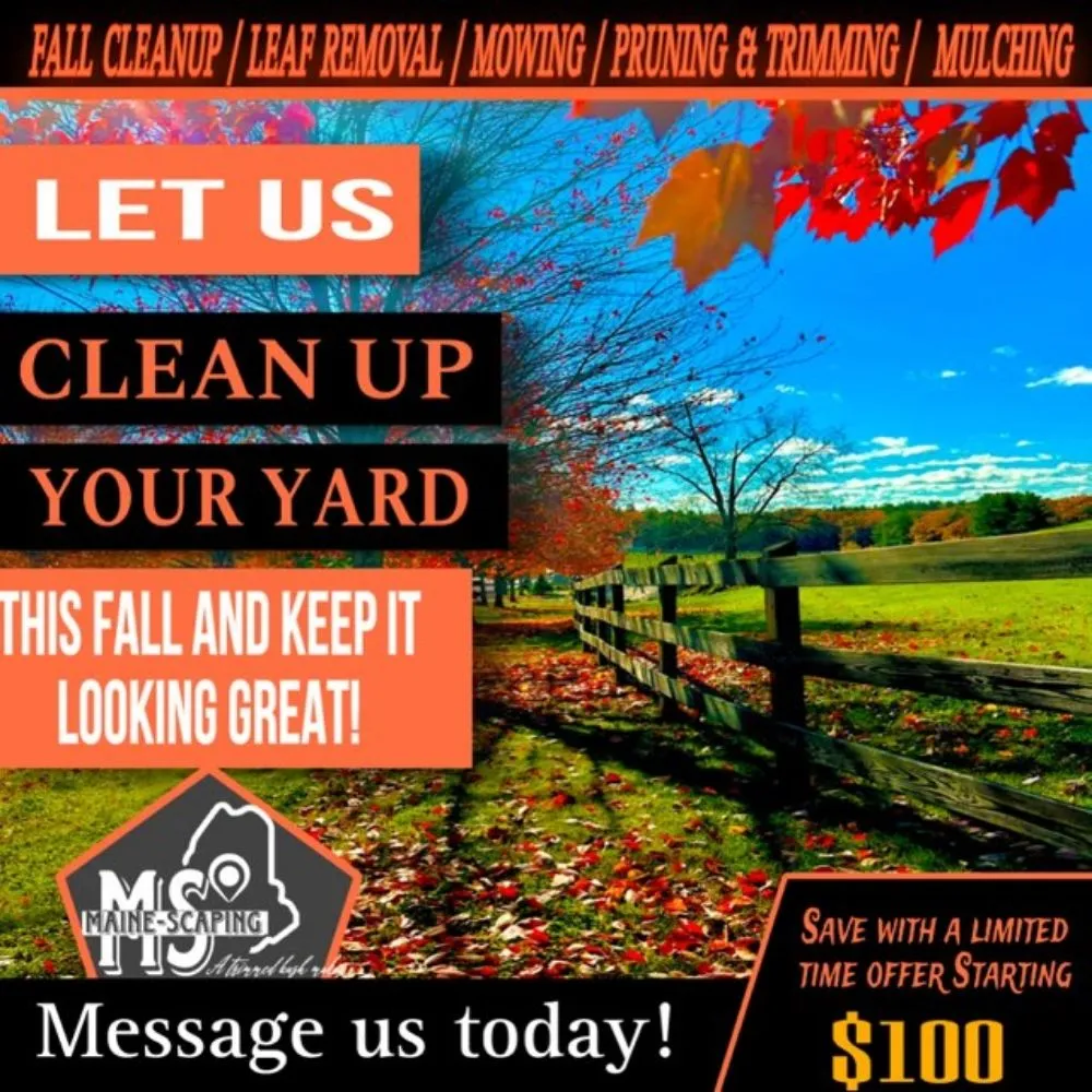 Local yard cleanup service for residential properties in Livermore falls, ME by Maine-scaping