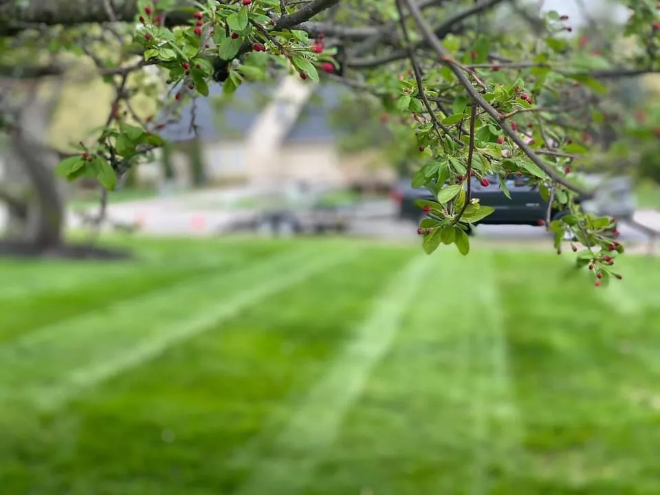 Custom lawn mowing service for beautiful yards in Livermore falls, ME by Maine-scaping
