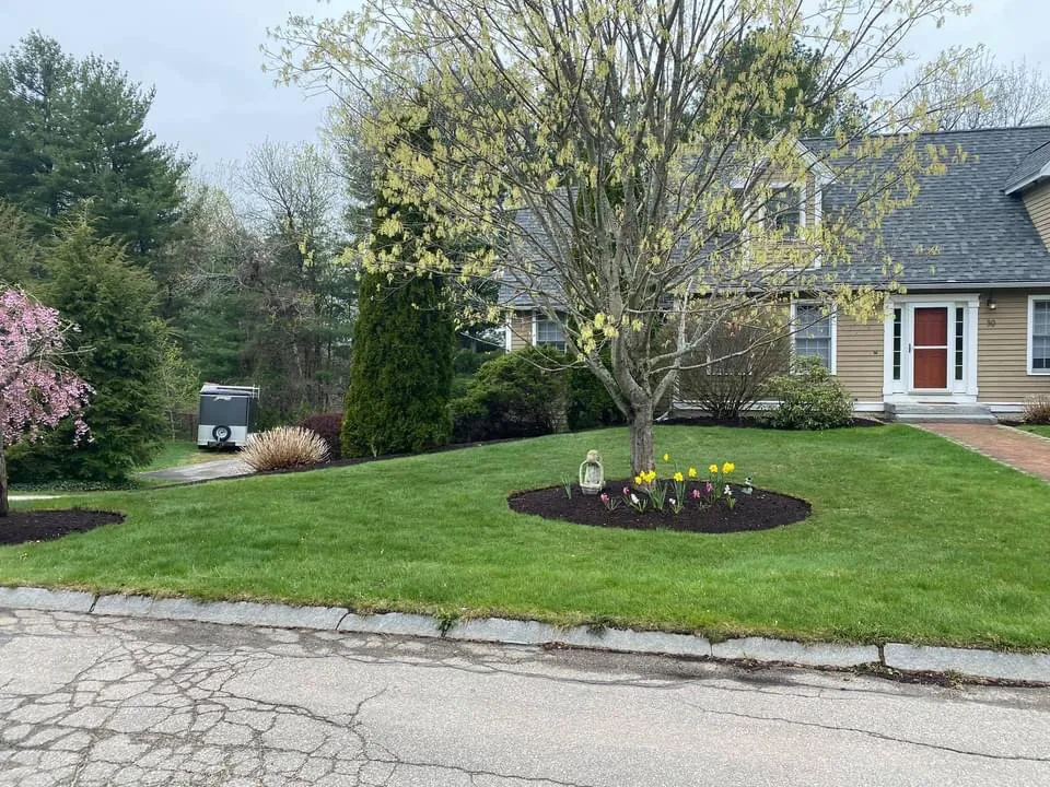 Trusted lawn care service in Livermore falls, ME by Maine-scaping