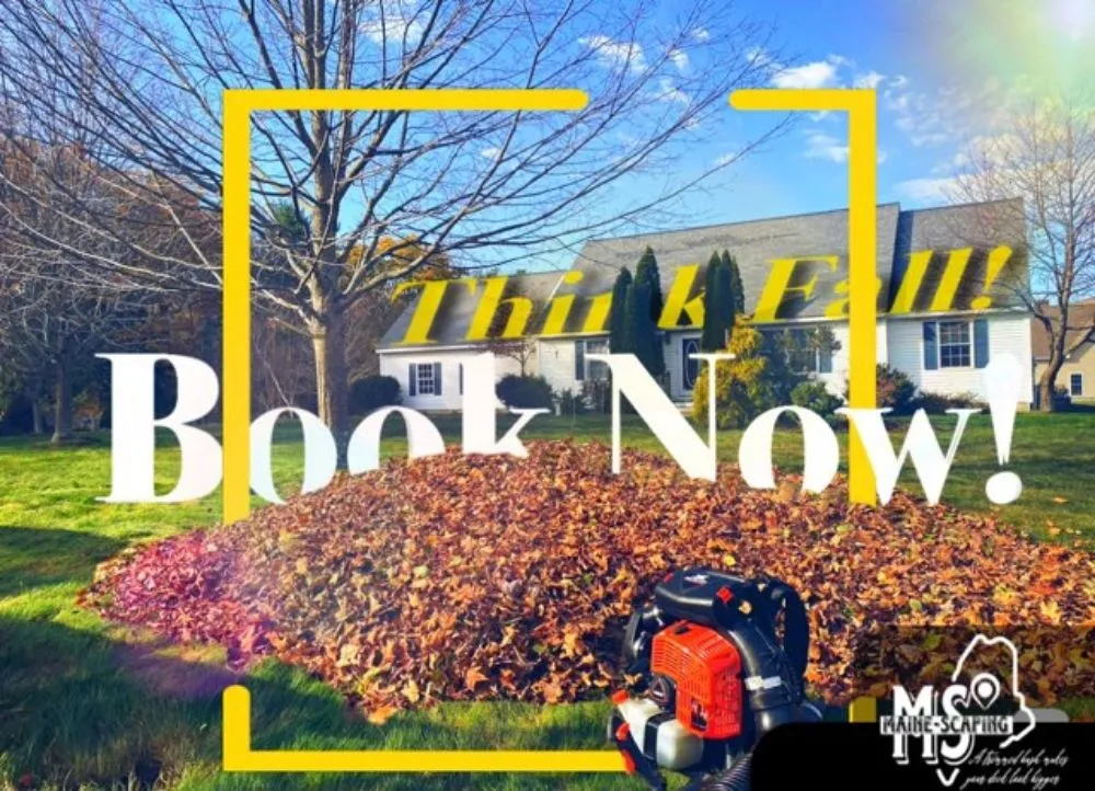 Affordable landscaping services experts serving Livermore falls, ME - Maine-scaping