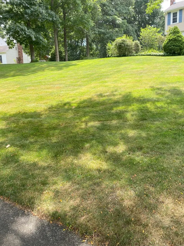Top-rated lawn mowing service experts serving North Andover, MA - Maine to Mass Cuttin' Grass