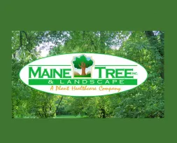 Affordable landscaping services with custom design across Bangor, ME - Maine Tree & Landscape Inc