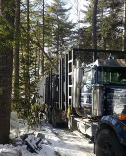 Trusted landscape design in Bangor, ME - Maine Tree & Landscape Inc