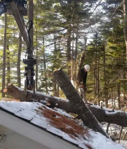 Custom lawn mowing service for residential properties across Bangor, ME - Maine Tree & Landscape Inc