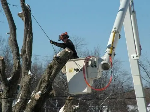 Expert landscape installation in Bangor, ME - Maine Tree & Landscape Inc
