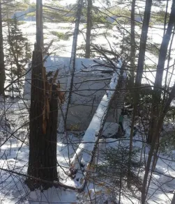 Expert landscape design for outdoor upgrades across Bangor, ME - Maine Tree & Landscape Inc