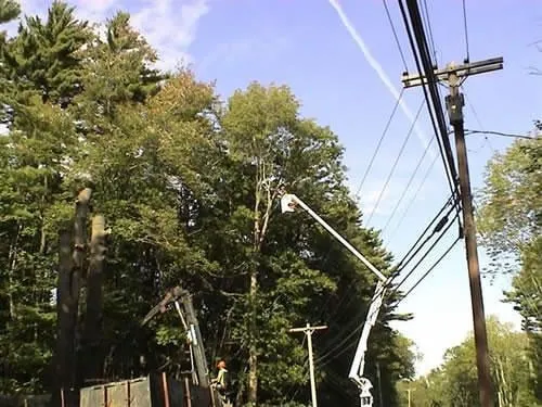 Trusted landscaping services for residential properties across Bangor, ME - Maine Tree & Landscape Inc