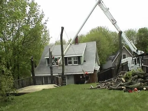 Local landscape installation in Bangor, ME - Maine Tree & Landscape Inc