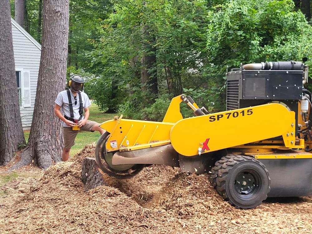 Reliable yard cleanup service for beautiful yards in Buxton, ME by Maineland Stump Grinding