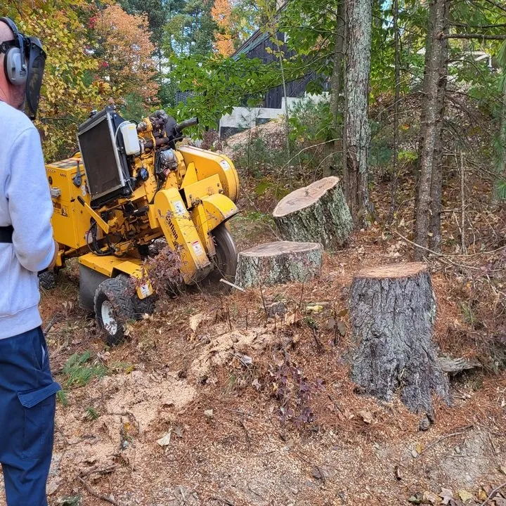 Trusted yard maintenance experts serving Buxton, ME - Maineland Stump Grinding