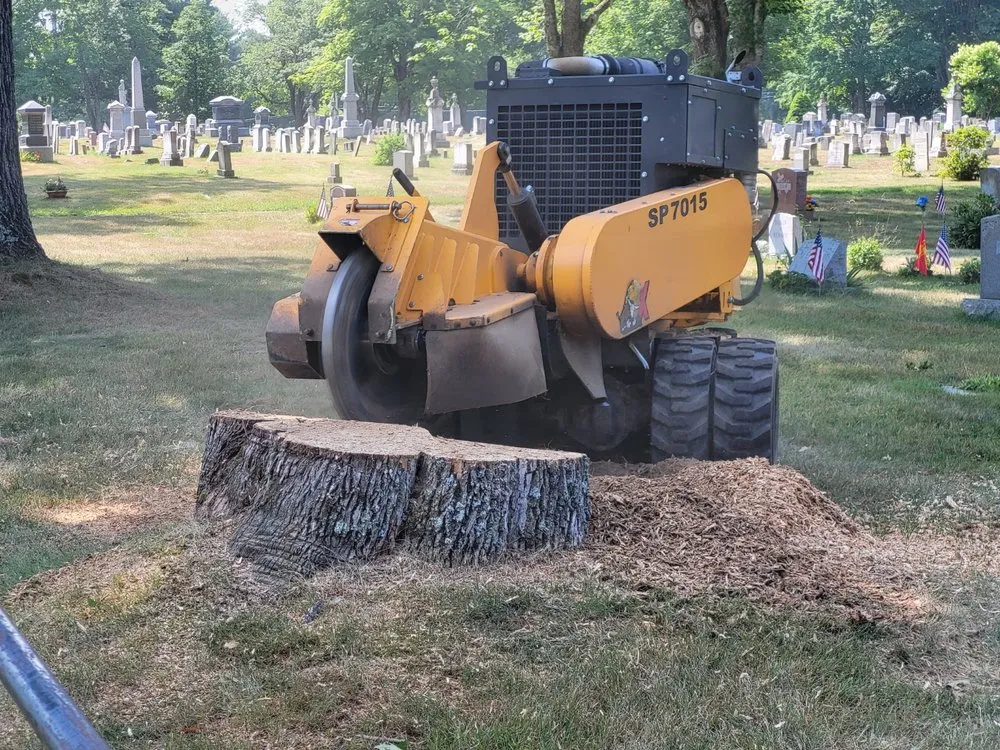Affordable residential landscaping in Buxton, ME by Maineland Stump Grinding