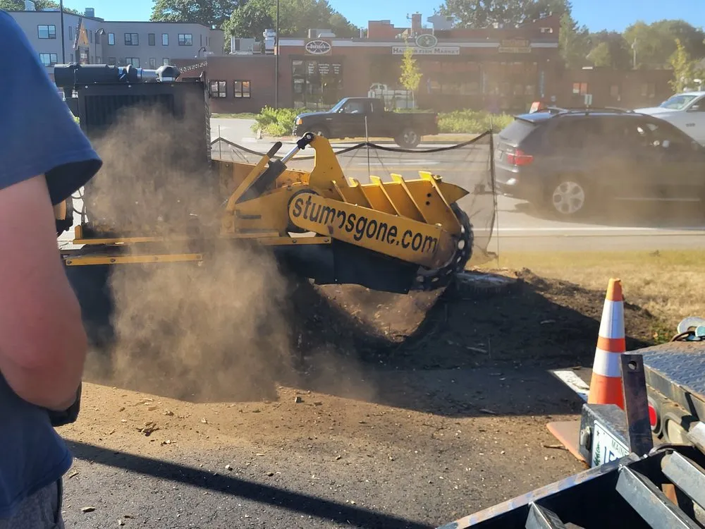 Affordable lawn care service in Buxton, ME - Maineland Stump Grinding
