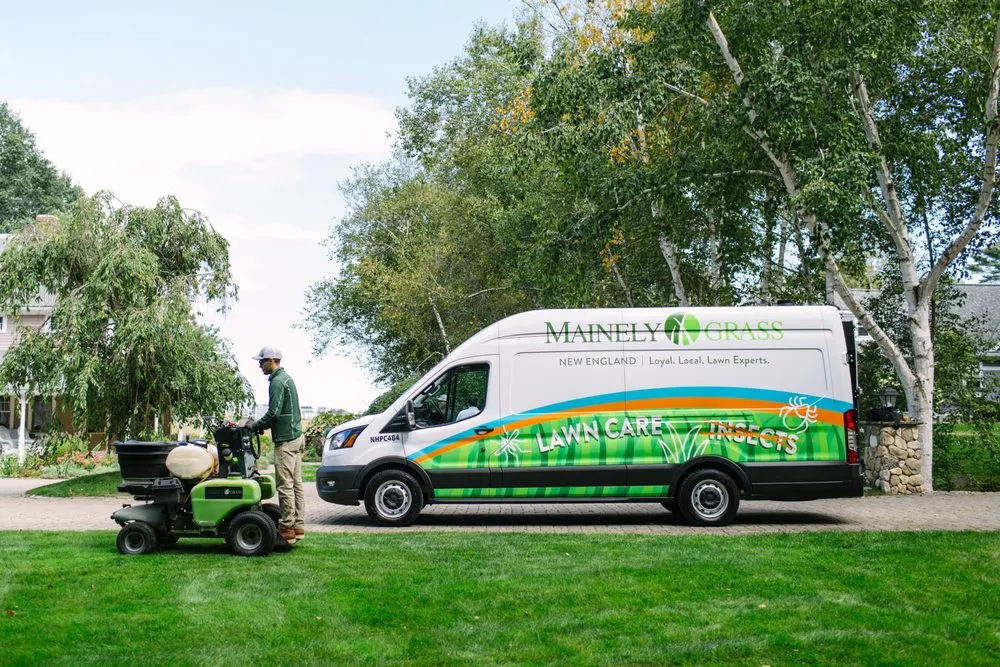 Professional landscape design in Bedford, NH - Mainely Grass