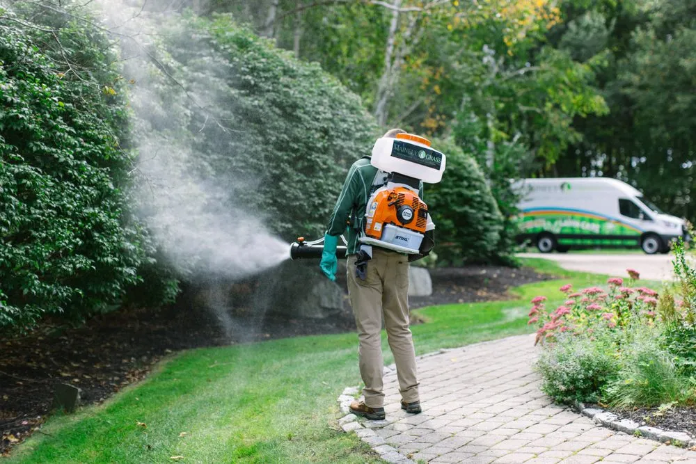 Local yard maintenance experts serving Tewksbury, MA - Mainely Grass