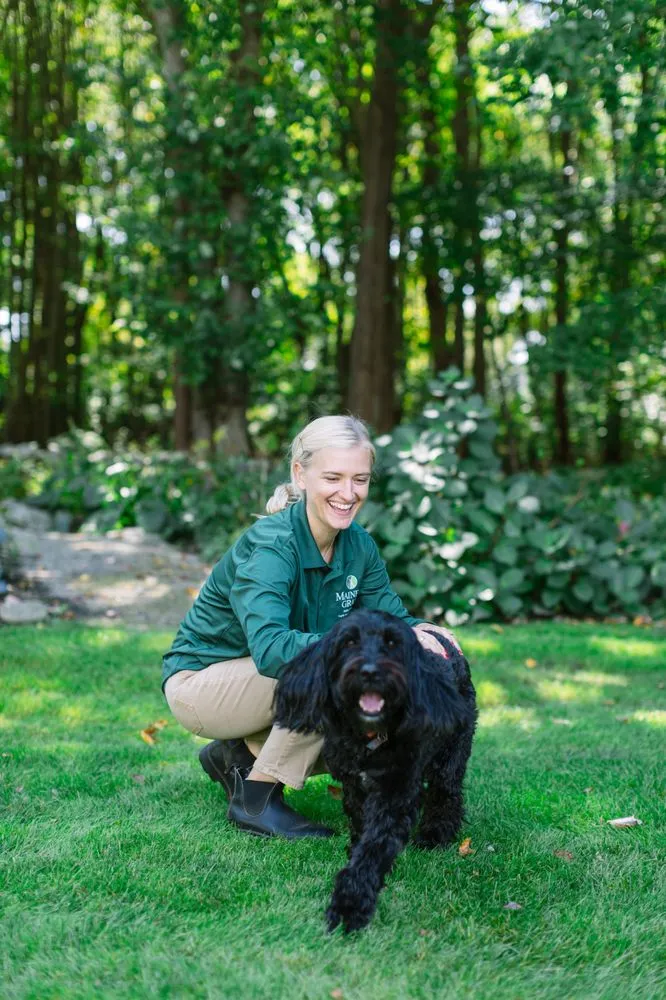 Expert yard cleanup service in Tewksbury, MA by Mainely Grass