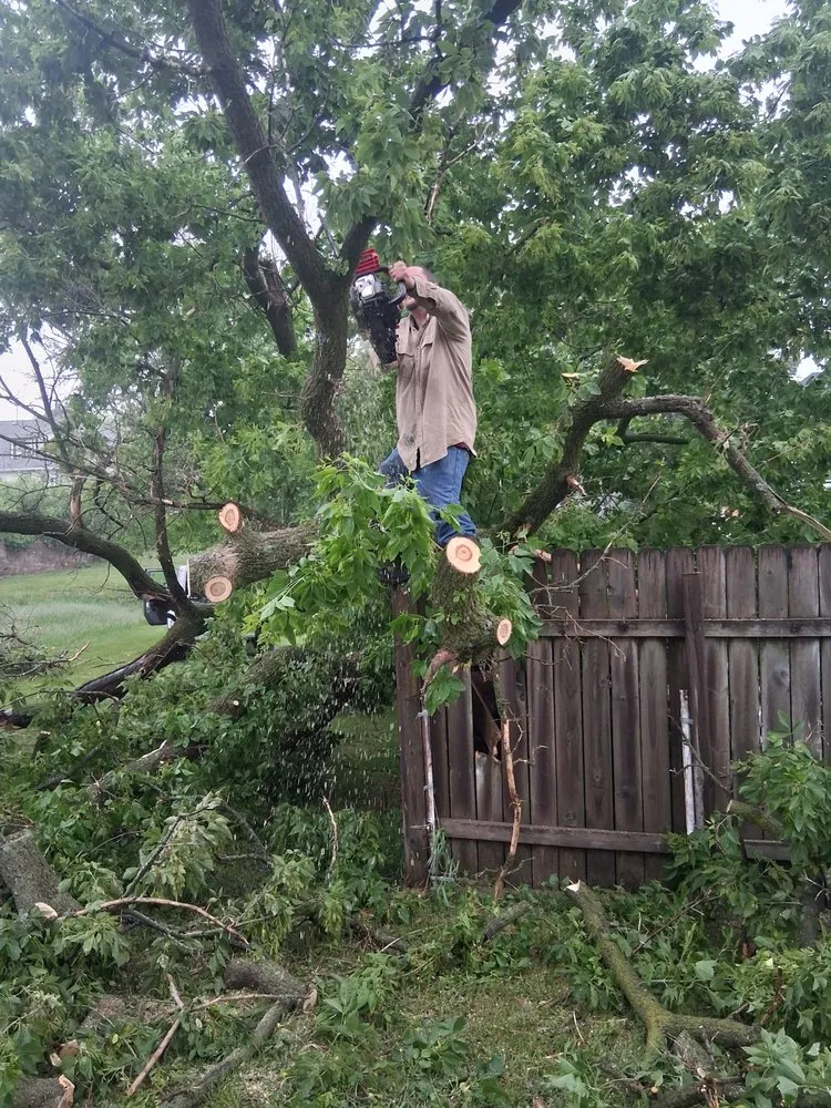 Custom yard maintenance in Iowa Falls, IA - Maine's Home And Yard Services