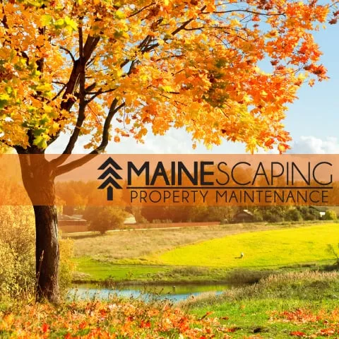 Reliable garden landscaping for residential properties in Gorham, ME by Mainescaping