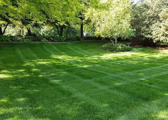 Trusted lawn mowing service in Owensboro, KY - Mainland Outdoor Services