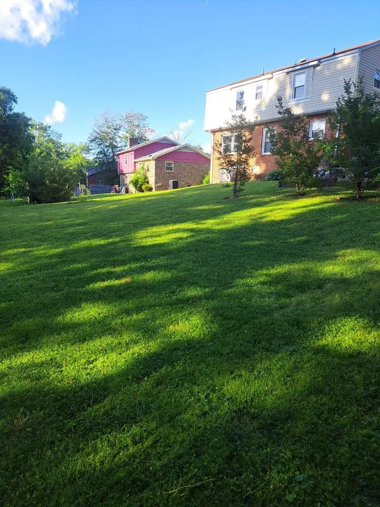 Professional yard cleanup service for residential properties in Durham, NC by Mainland residential lawn service