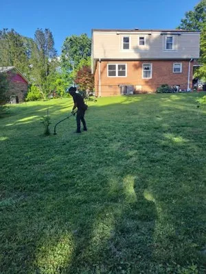 Mainland residential lawn service Logo