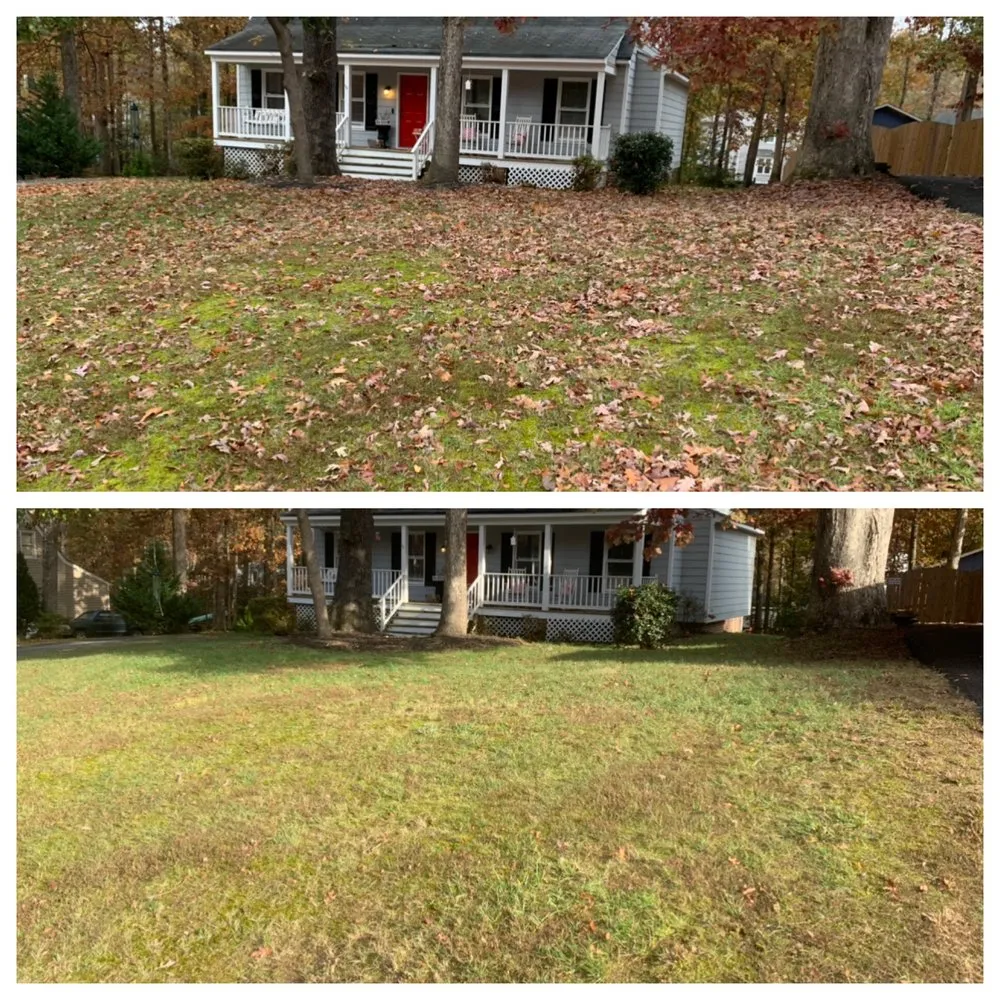 Local yard maintenance for beautiful yards across Malvern, PA - Mainline Lawn care