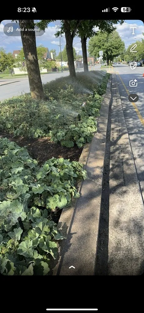 Local yard maintenance experts serving Addison, IL - Mainline Lawn Sprinklers