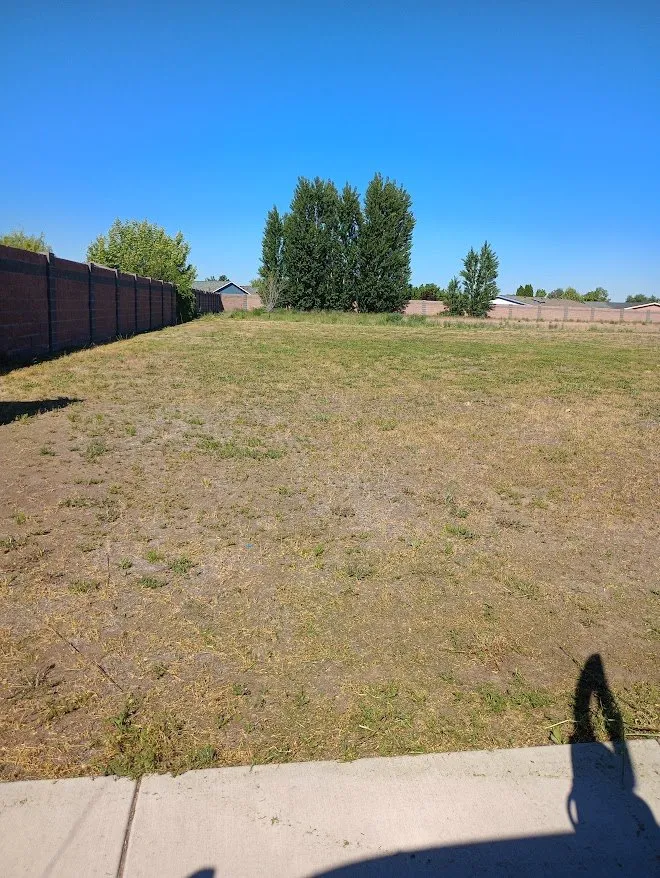 Local landscaping services in Richland, WA - Mainmen