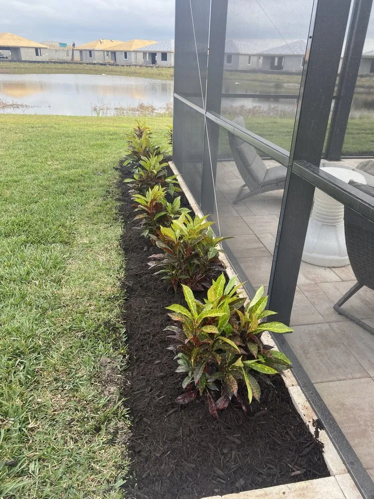 Top-rated residential landscaping in Lehigh Acres, FL - Mainor Landscaping Service