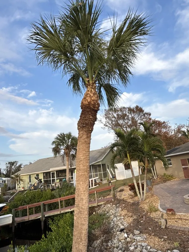 Top-rated lawn care service with custom design across Lehigh Acres, FL - Mainor Landscaping Service