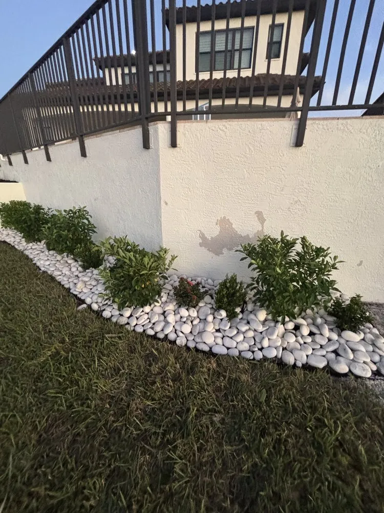 Reliable yard maintenance in Lehigh Acres, FL - Mainor Landscaping Service