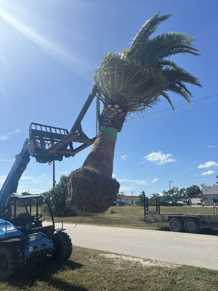 Professional residential landscaping in Lehigh Acres, FL by Mainor Landscaping Service