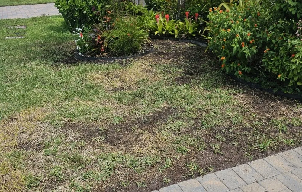 Professional residential landscaping for outdoor upgrades across Naples, FL - Mainscape