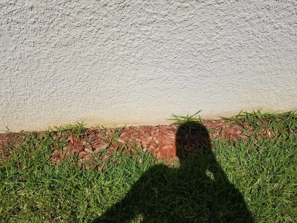 Reliable landscaping services for year-round maintenance in Sarasota, FL by Mainscape