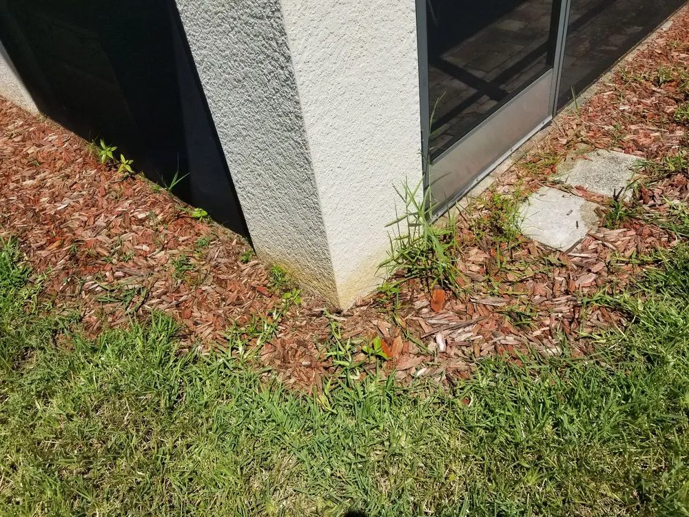 Local outdoor landscaping in Sarasota, FL by Mainscape