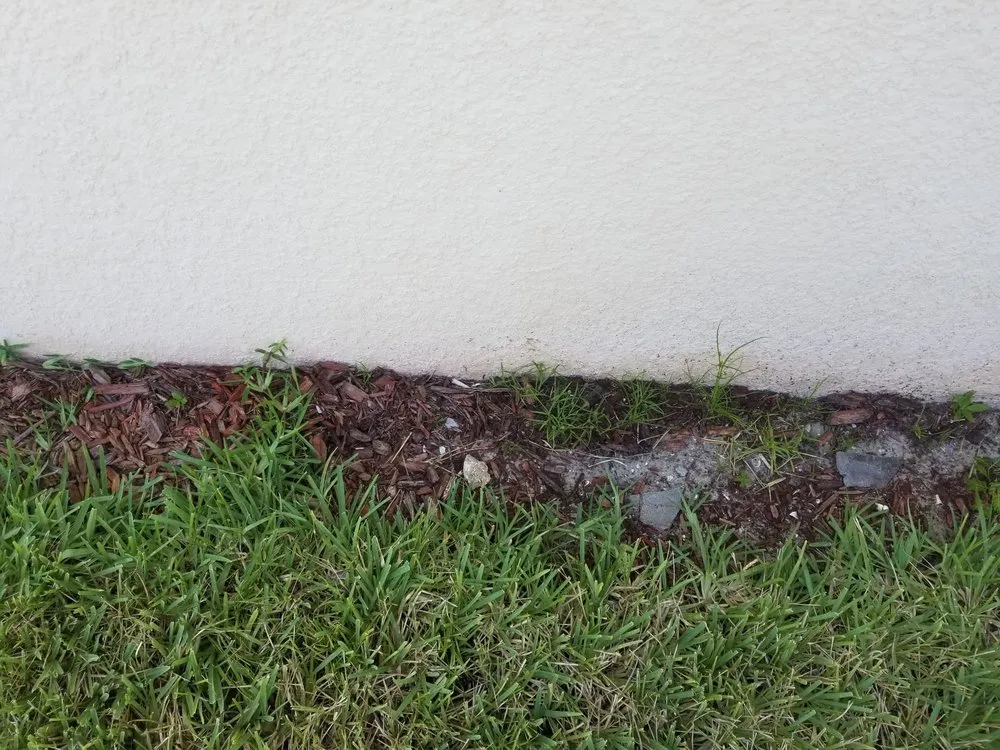 Expert lawn mowing service in Sarasota, FL - Mainscape