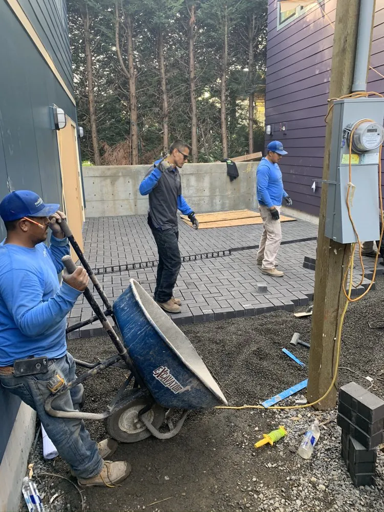 Expert yard cleanup service in Sherwood, OR by Mainstream Landscape