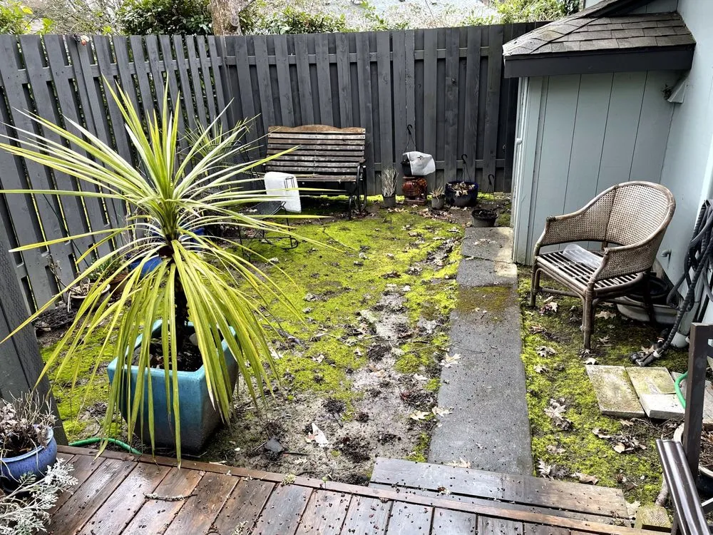 Top-rated landscape installation near you in Sherwood, OR by Mainstream Landscape