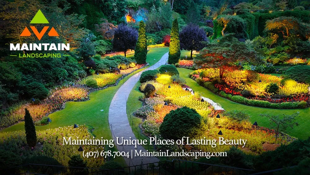 Affordable landscape design experts serving Winter Park, FL - Maintain Landscaping
