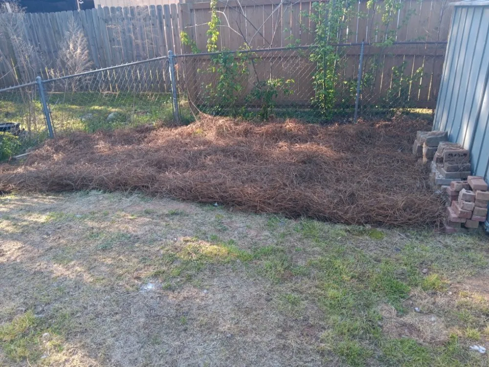 Affordable yard maintenance for homes in Stone Mountain, GA by Maintain Masters