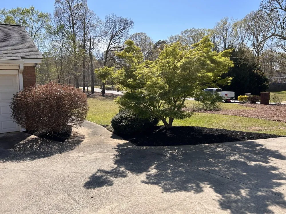 Local residential landscaping in Winston, GA by Maintain Southern Landscapes