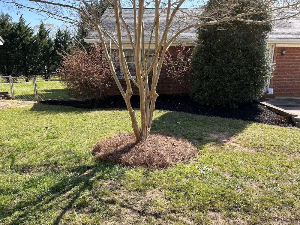 Reliable yard cleanup service in Winston, GA - Maintain Southern Landscapes